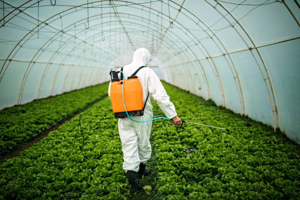 Best Pest Inspection Near Me  in Mogadore, OH