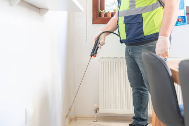 Best Wasp Removal Services  in Mogadore, OH