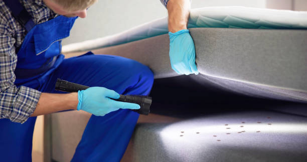Best Pest Prevention Services  in Mogadore, OH