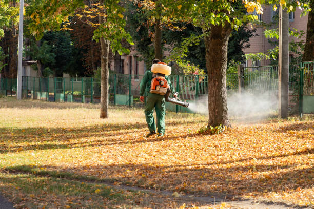 Best Emergency Pest Control  in Mogadore, OH