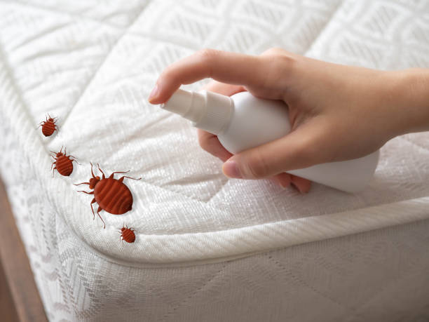 Best Pest Control for Businesses  in Mogadore, OH