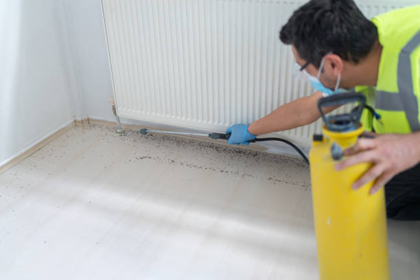Best Mosquito Control Services  in Mogadore, OH